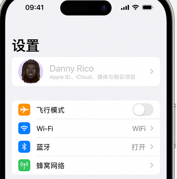 海南藏族appleID维修服务iPhone设置中Apple ID显示为灰色无法使用 