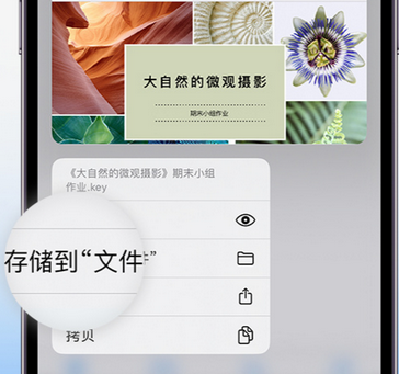 海南藏族apple维修中心分享iPhone文件应用中存储和找到下载文件