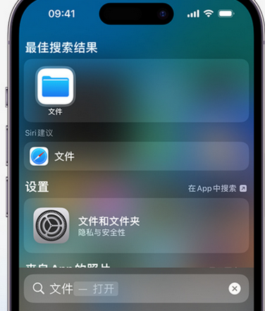 海南藏族apple维修中心分享iPhone文件应用中存储和找到下载文件 