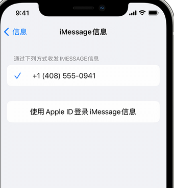 海南藏族apple维修iPhone上无法正常发送iMessage信息