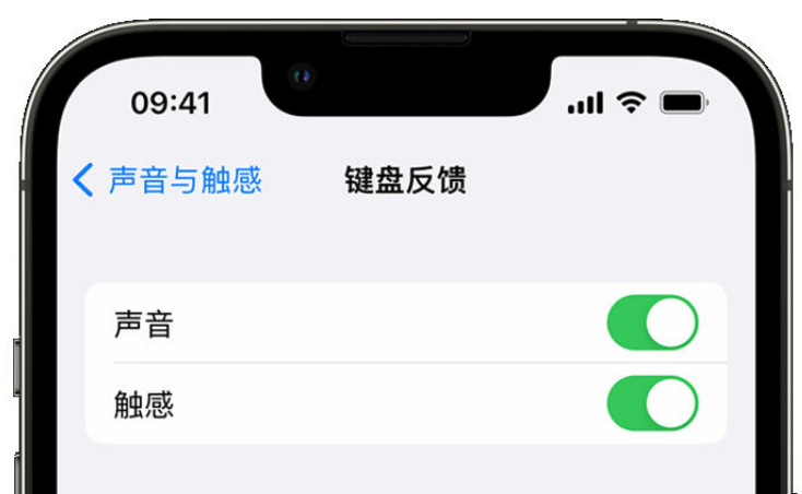 海南藏族苹果手机维修分享iPhone 14触感键盘使用方法 