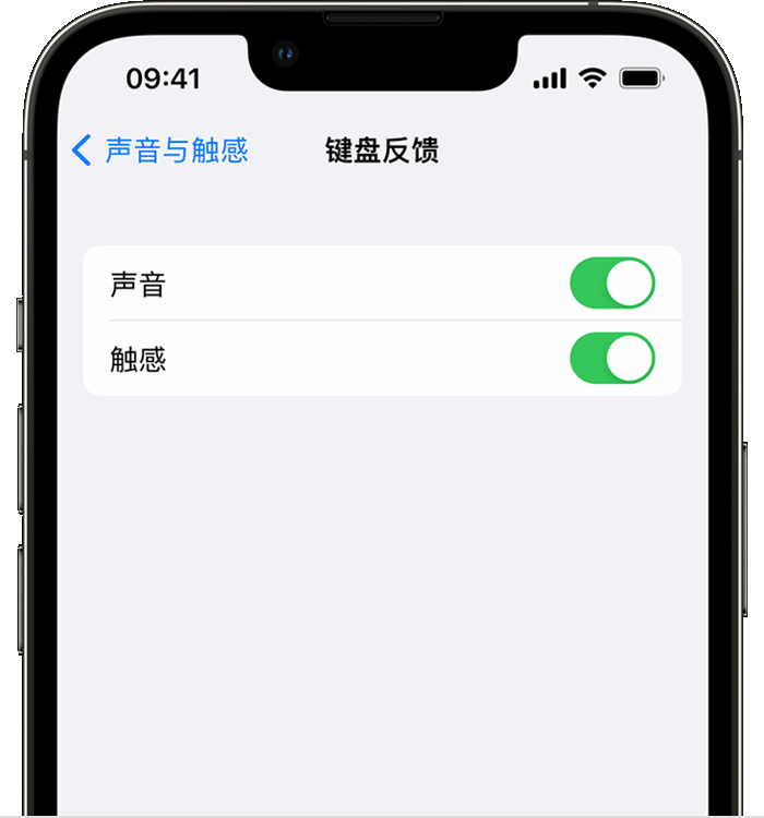 海南藏族苹果14维修店分享如何在 iPhone 14 机型中使用触感键盘 