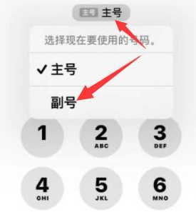 海南藏族苹果14维修店分享iPhone 14 Pro Max使用副卡打电话的方法 