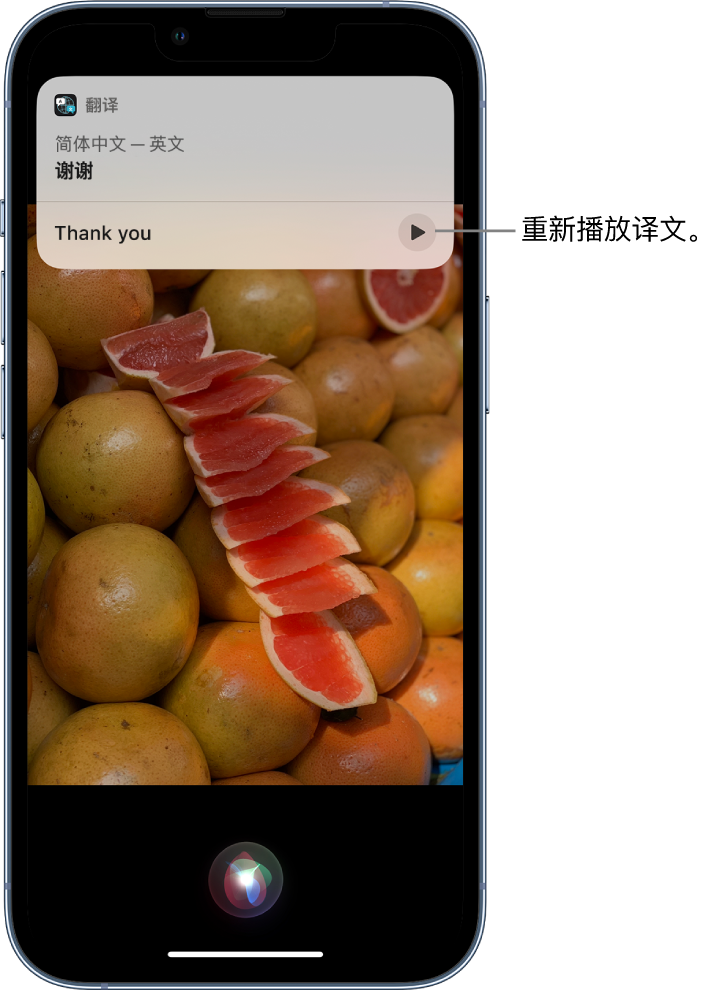 海南藏族苹果14维修分享 iPhone 14 机型中使用 Siri：了解 Siri 能帮你做什么 