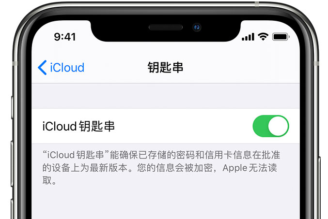 海南藏族苹果手机维修分享在 iPhone 上开启 iCloud 钥匙串之后会储存哪些信息 