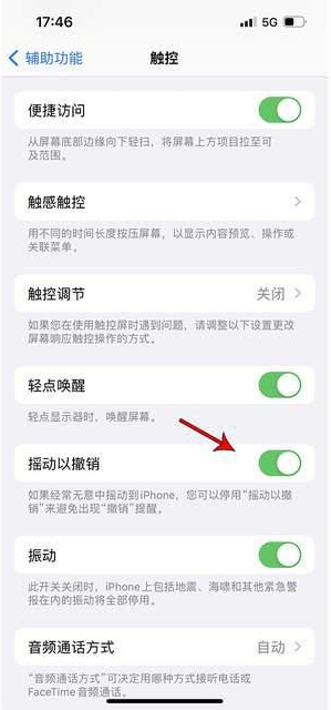 海南藏族苹果手机维修分享iPhone手机如何设置摇一摇删除文字 