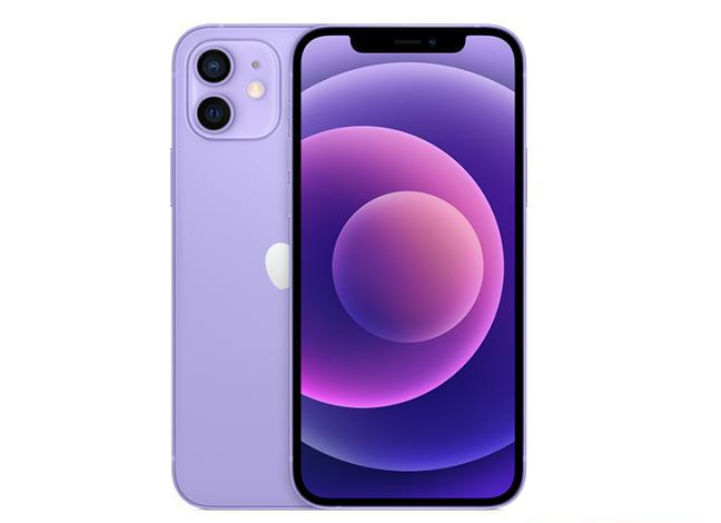 海南藏族苹果手机维修分享现阶段要不要入手紫色版iPhone12 