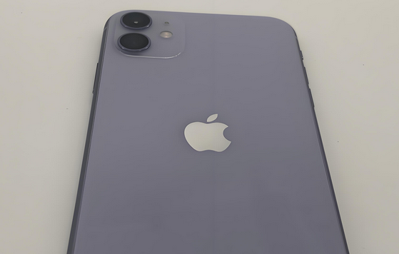 海南藏族苹果11系统维修分享iPhone11手机系统崩溃无法开机如何解决 